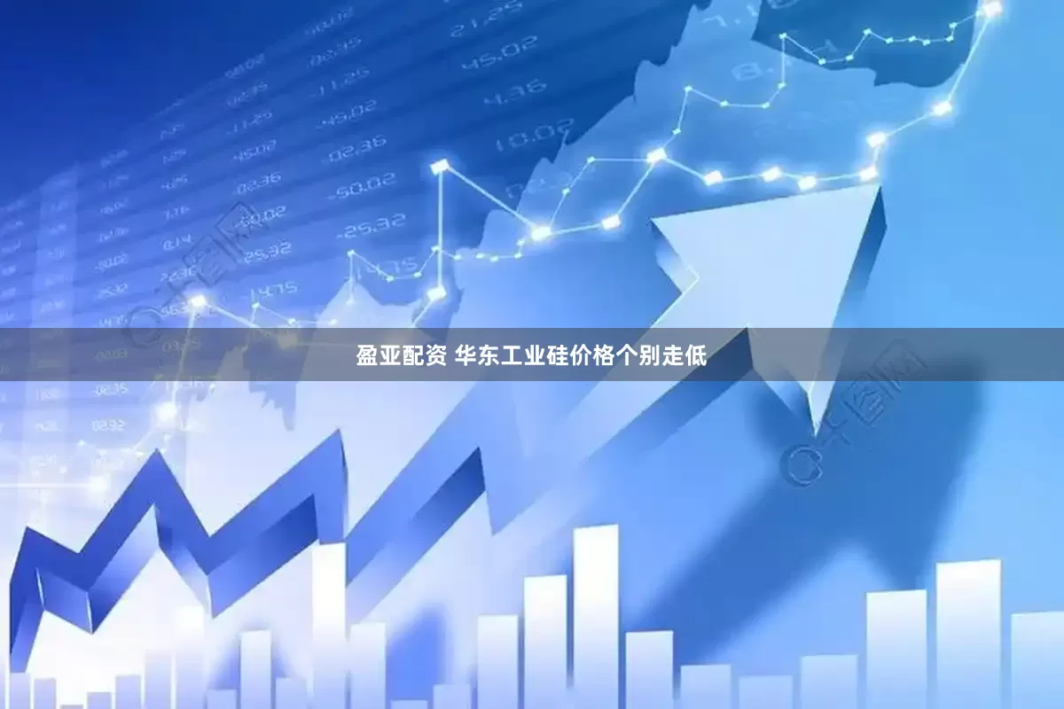 盈亚配资 华东工业硅价格个别走低