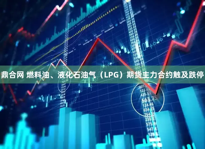 鼎合网 燃料油、液化石油气（LPG）期货主力合约触及跌停